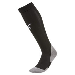 Team Liga socks core