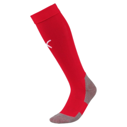 Team Liga socks core